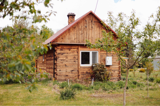 Siedlisko Dominiczyn, zabytkowa chata w lesie